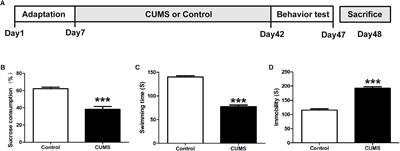 Chronic Unpredictable Mild Stress in Rats Induces Colonic Inflammation